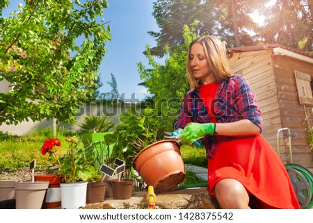 Beautiful woman cutting plants with garden pruner