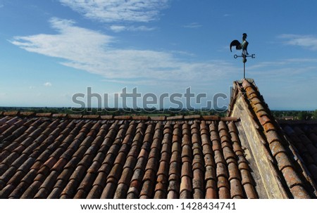 rooster weather vane on roof of house