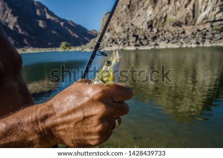 Small fish caught in hand with river scene in the background.