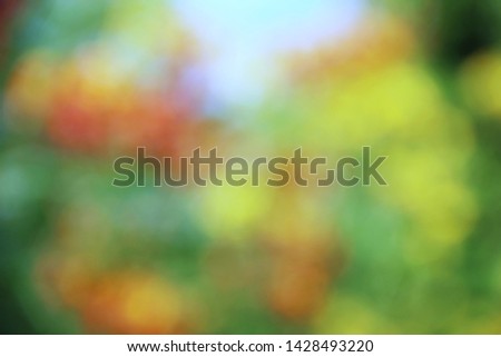Blurred yellow and orange flowers for abstract background.