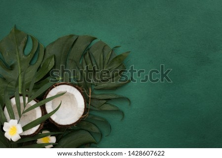 Tropical green leaves palm fronds and coconuts