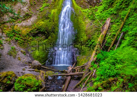 Twilight Hike to Marymere Falls in Hoh Rainforest in Olympic National Park, Washington