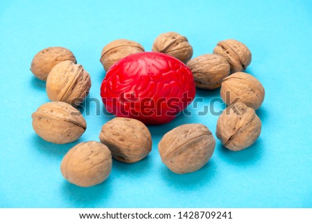 Walnuts like healthy food for the brain. Shape of human brain is surrounded by walnut kernels. It symbolizes how brain similarity with walnuts and proven effectiveness as healthy food for brain