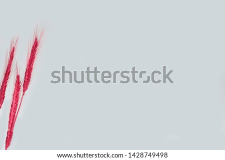 grey background for text with red plants in corner. minimal background 
