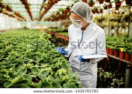 Female botanist examining growth of potted plants in a greenhouse.  Royalty-Free Stock Photo #1428783785