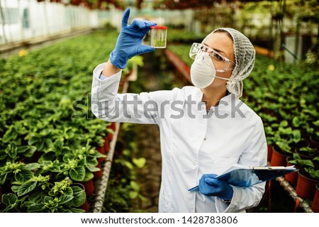Female botanist examining plant sample during quality control inspection in a greenhouse.  Royalty-Free Stock Photo #1428783806