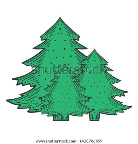 Evergreen pine tree. Vector concept in doodle and sketch style. Hand drawn illustration for printing on T-shirts, postcards.