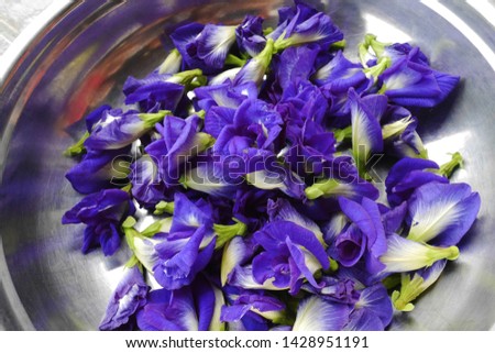 butterfly pea or blue flower on wooden table background