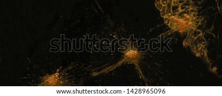 photography of abstract marbleized effect background. Gold and black creative colors. banner