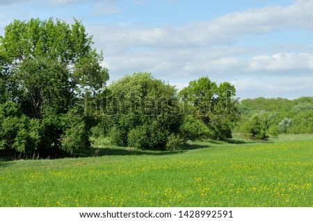 Only open green, yellow field forest and clouds on blue sky in summer, sunny day. Good weather. Away, far hills, trees. Mysterious, magical, fantastic panoramic landscape place. Photography background