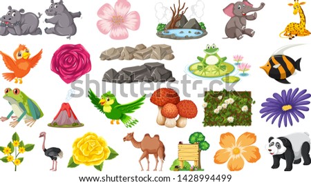 Set of animal and plant illustration