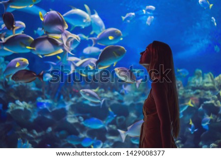 Young woman touches a stingray fish in an oceanarium tunnel Royalty-Free Stock Photo #1429008377