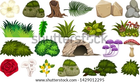 Set of nature objects illustration