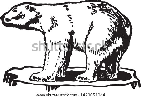 Polar Bear - Retro Ad Art Illustration of Wildlife