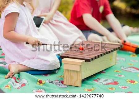 Baby girl playing a musical instrument xylophone