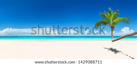 Coconut palm trees against blue sky and beautiful beach in Punta Cana, Dominican Republic. Vacation holidays background wallpaper. Panorama of nice tropical beach. Royalty-Free Stock Photo #1429088711