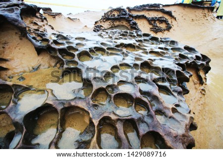 Honeycomb Weathering rock at Yehliu Geopark in Taiwan. Honeycombed rocks refer to the rocks that are covered with holes of different sizes and appear like the honeycombs as a result. Royalty-Free Stock Photo #1429089716