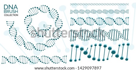 Human dna chain or genome helix isolated. Vector illustration of structural dna molecule seamless line and spiral