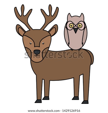 cute reindeer and owl bird woodland characters