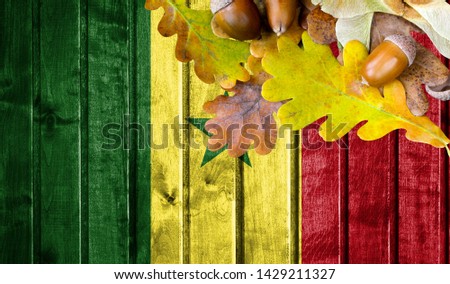 Senegal flag on autumn wooden background with leaves and good place for your text.