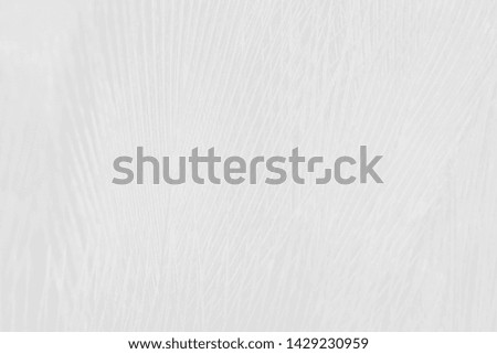 Beautiful white feather pattern texture background