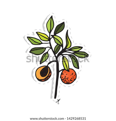 vector sticker of peach branch isolated on white background