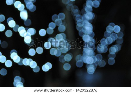 Bokeh light bulbs attached to trees in the dark.