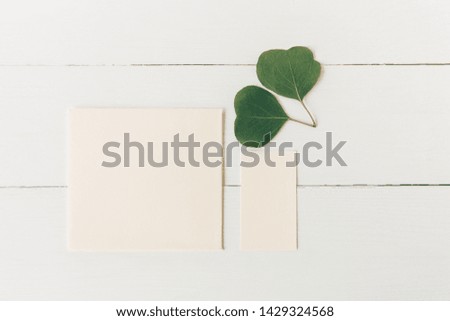 Creative and stylish mockup with green leaves.Blank envelope and business card.Minimalist flat lay,white wooden background.Template for design.