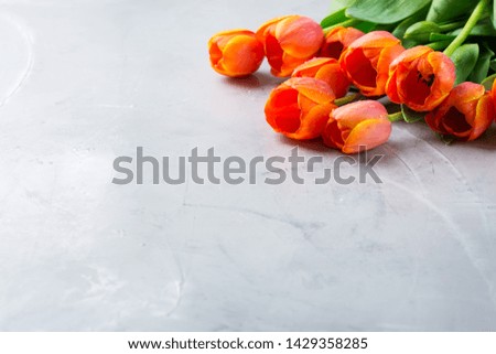 Spring background with orange colorful tulips. women, mother day, greeting card, copy space image