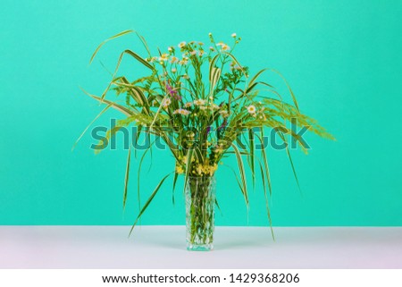 bouquet of summer herbs, daisies and clematis flowers in a glass vase on a background of mint color close-up