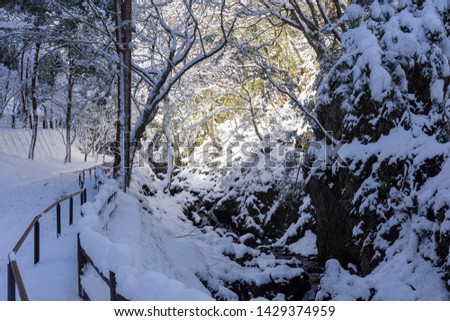 winter with snow in yoro waterfall