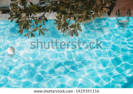 Pool float, ring floating in a refreshing blue swimming pool with palm tree leaf shadows in water. Top View
