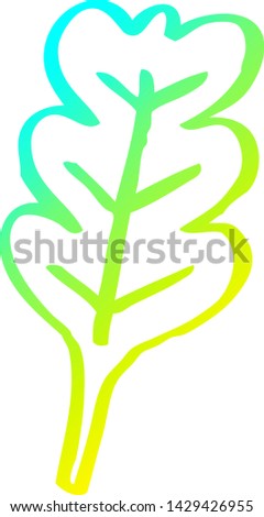cold gradient line drawing of a cartoon oak leaf