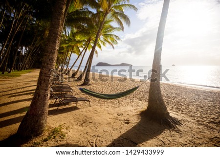 The famous idyllic beachfront of Palm Cove at sunrise in Queensland, Australia Royalty-Free Stock Photo #1429433999
