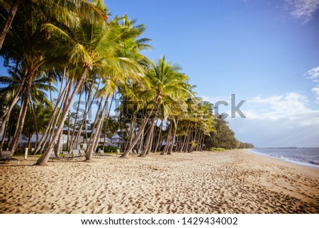 The famous idyllic beachfront of Palm Cove on a winter's day in Queensland, Australia Royalty-Free Stock Photo #1429434002