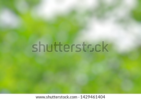 Blur green background that gives a relaxed mood,green background,green color wallpaper,Subtle background nature concept.