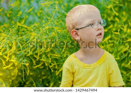 Portrait of charming boy in yellow T-shirt and glasses against background of green flowering bush. child examines flowers through magnifying glass. Spring floral background. soft lens