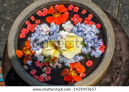 wide view of red, yellow and blue  colored petals of different flowers decorated beautifully in a metal water bowl 26 botanical garden