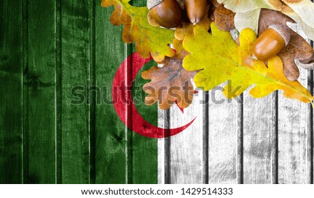 Algeria flag on autumn wooden background with leaves and good place for your text.