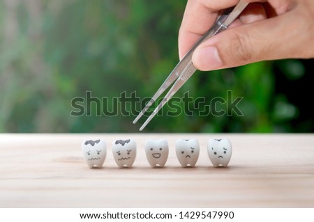 Dentist use tweezers to set of decayed tooth model for dental health care concept