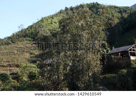 SaPa, VietNam, Mar 1, 2018:
Landscape picture of mountain houses