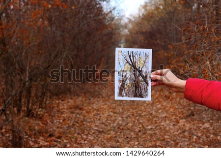 Watercolor drawing with the image of autumn trees on the background of the autumn forest with fallen brown leaves in the girl's hand. Drawing on the open air