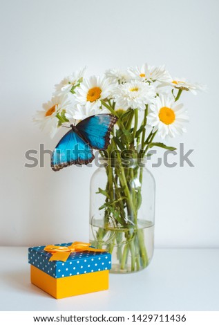 Bouquet of white flowers in a jar on a white background. Butterfly sitting on daisies and gerbera. Free space. Place for text. Congratulations on March 8, mother day