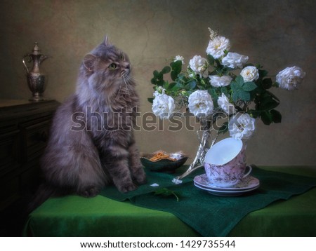 Still life with bouquet of roses and curious kitty