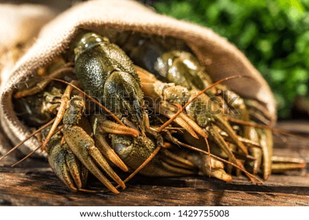 Raw crayfish with beer on wooden background