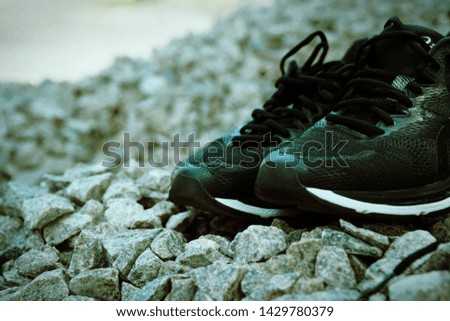Trail running shoes in a park, close-up sneakers. Running shoes before practice. Sport active lifestyle concept. Horizontal photo banner for website header design.