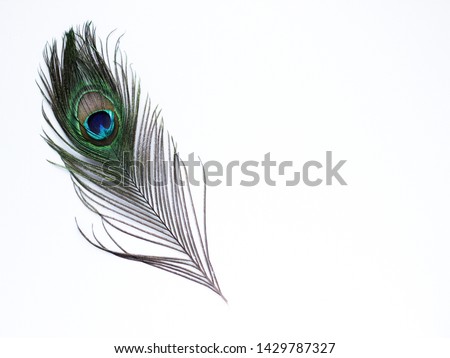 Clothing and home decoration. Peacock feather on white background. Royalty-Free Stock Photo #1429787327