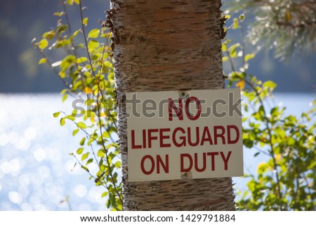 No Life Guard on Duty Sign On Birch Tree