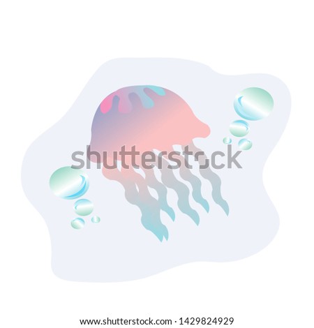 Pink Jellyfish Swimming Under Water