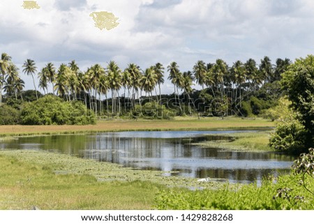 Very beautiful scene of trees and lake in the interior of Brazil.